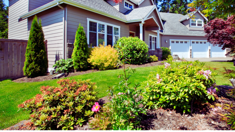 Summer Curb Appeal